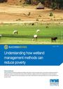 Understanding how wetland management methods can reduce poverty (11/19/2010) 