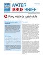 Using wetlands sustainably (7/12/2011) 
