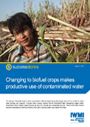 Changing to biofuel crops makes productive use of contaminated water (1/23/2012) 