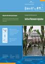 Proceedings of the UN-Water Project on the Safe Use of Wastewater in Agriculture (8/23/2013) 
