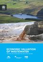 Economic valuation of wastewater: the cost of action and the cost of no action (12/31/2015) 