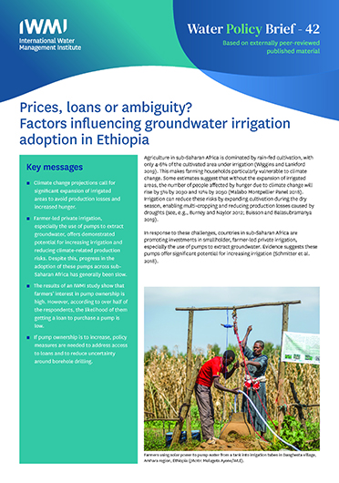 Prices, loans or ambiguity? Factors influencing groundwater irrigation adoption in Ethiopia (12/08/2021) 