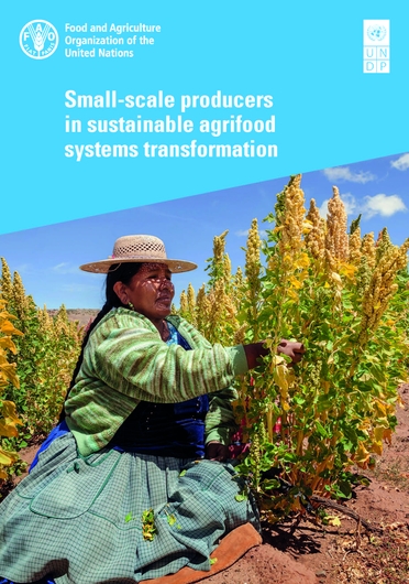 Small-scale producers in sustainable agrifood systems transformation (09/30/2022) 