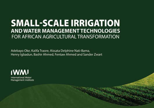 Small-scale irrigation and water management technologies for African agricultural transformation (10/08/2022) 