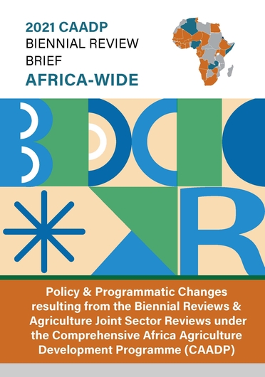 Policy and programmatic changes resulting from the biennial reviews and agriculture joint sector reviews under the Comprehensive Africa Agriculture Development Programme (CAADP). Third Biennial Review Brief: Africa-Wide (11/30/2022) 