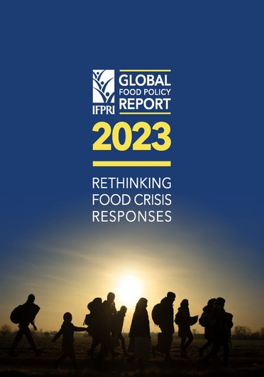 Crisis resilience: humanitarian response and anticipatory action (04/30/2023) 