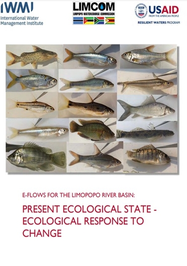 E-flows for the Limpopo River Basin: present ecological state - ecological response to change. Project report prepared by the International Water Management Institute (IWMI) for the United States Agency for International Development (USAID) (05/31/2023) 