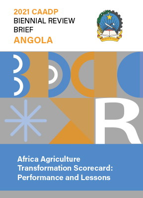 Africa Agriculture Transformation Scorecard: performance and lessons. Angola (05/31/2023) 