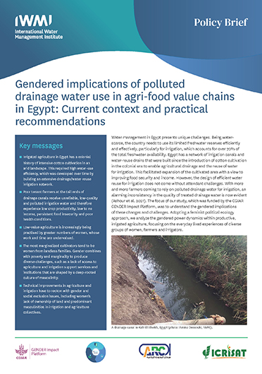 Gendered implications of polluted drainage water use in agri-food value chains in Egypt: current context and practical recommendations (11/30/2023) 