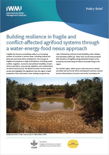 Building resilience in fragile and conflict-affected agrifood systems through a water-energy-food nexus approach (10/31/2023) 