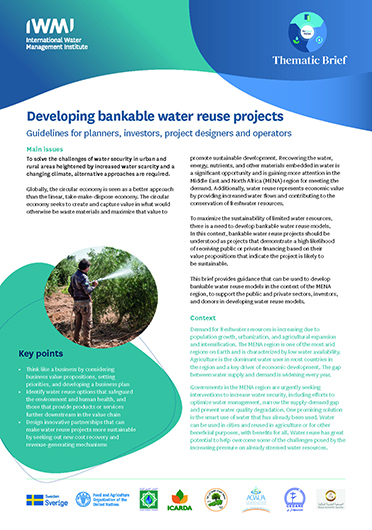 Developing bankable water reuse projects: guidelines for planners, investors, project designers and operators [Thematic Brief of the ReWater MENA Project] (10/31/2023) 