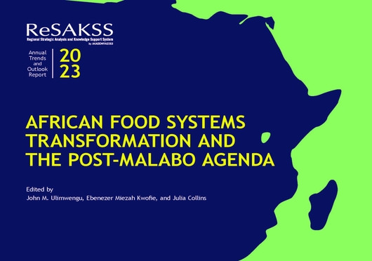 Data challenges and opportunities for food systems transformation in Africa (11/30/2023) 