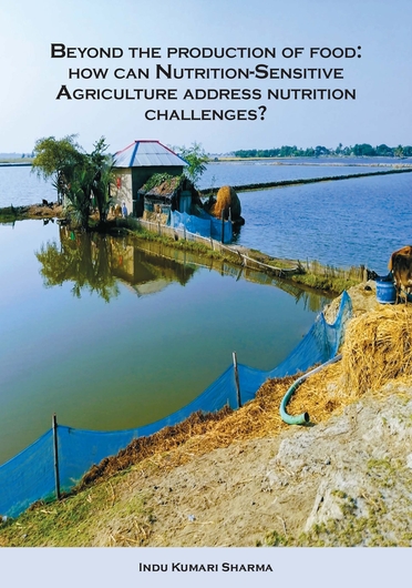 Beyond the production of food: how can nutrition-sensitive agriculture address nutrition challenges? PhD thesis (12/31/2023) 