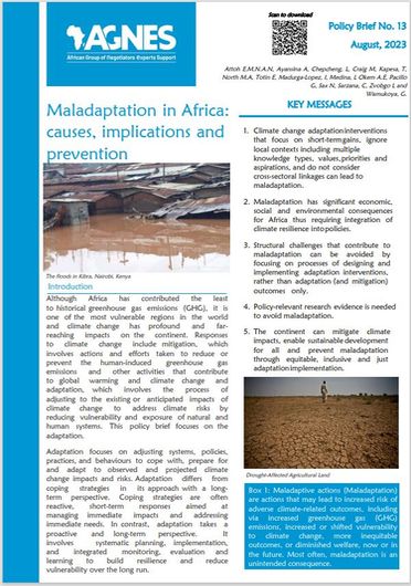 Maladaptation in Africa: causes, implications and prevention (01/31/2024) 