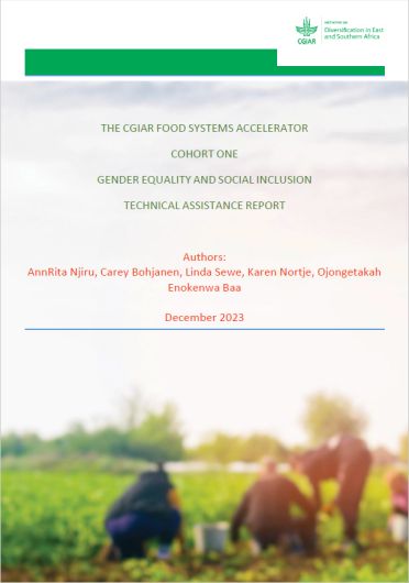 The CGIAR Food Systems Accelerator: cohort one. Gender Equality and Social Inclusion technical assistance report (02/13/2024) 