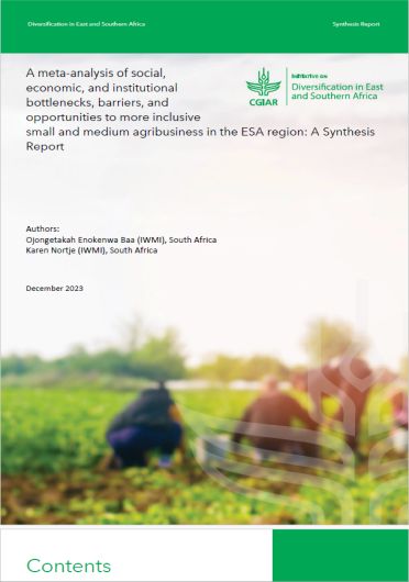 A meta-analysis of social, economic, and institutional bottlenecks, barriers, and opportunities to more inclusive small and medium agribusiness in the ESA Region: a synthesis report (02/15/2024) 