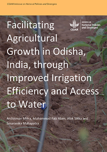 Facilitating agricultural growth in Odisha, India, through improved irrigation efficiency and access to water (04/30/2024) 